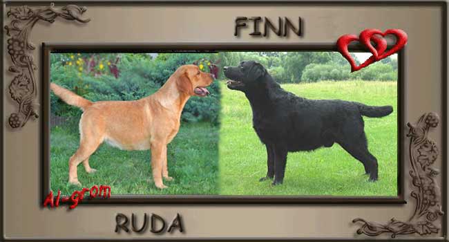 RUDA&FINN